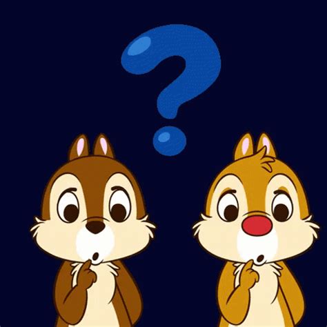 question gifs|Questions GIFs